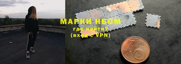 мдпв Карпинск