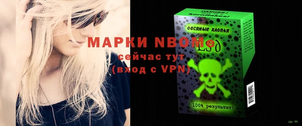мдпв Карпинск