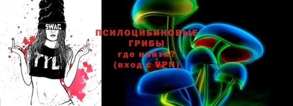 мдпв Карпинск