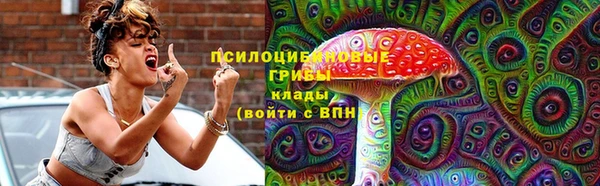 ешки Касимов