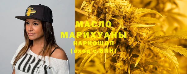 мдпв Карпинск