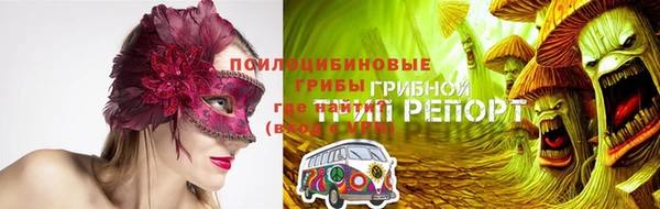 ешки Касимов