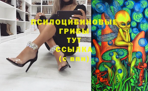 МДПВ Карталы