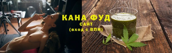 мдпв Карпинск