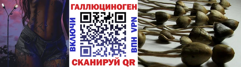 Купить где  Можга  Псилоцибиновые грибы мицелий 